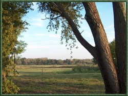 Landschaft um den Hubertushof