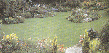 Gartenbaufirma Miklós Szekér