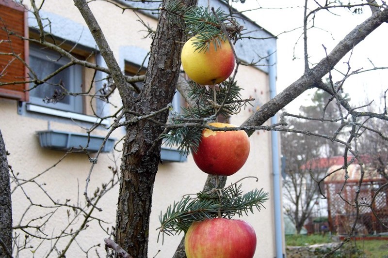 Apfelkette