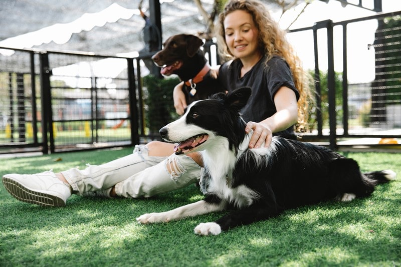 Frau mit zwei Hunden