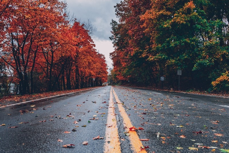 Nasse Straße im Herbst mit Laub