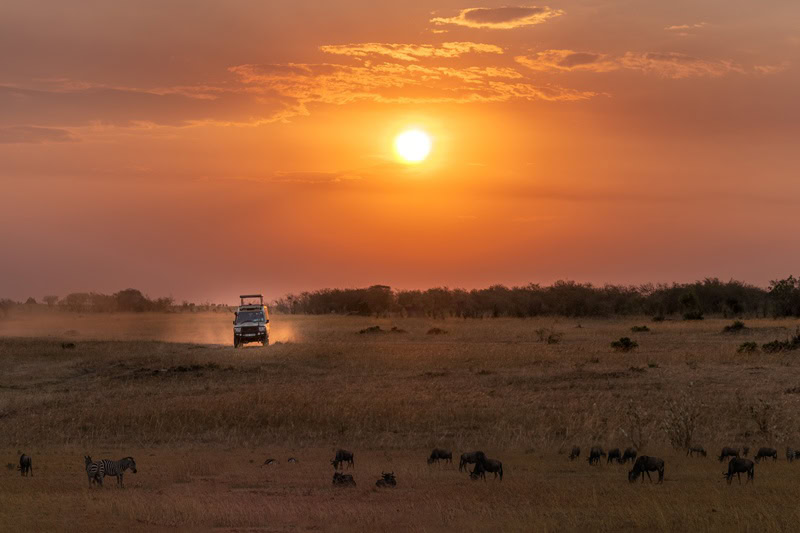 Safari im Abendlicht