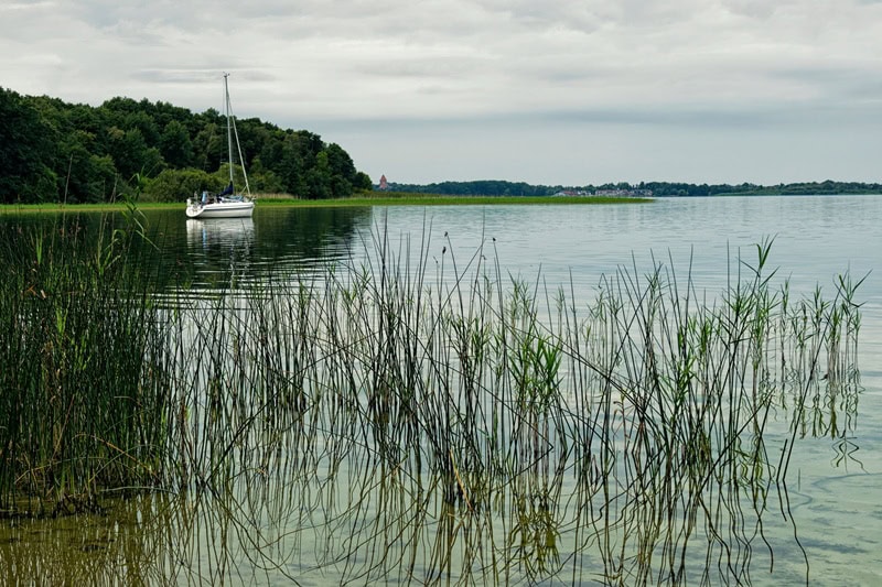 Uferlandschaft an einem See